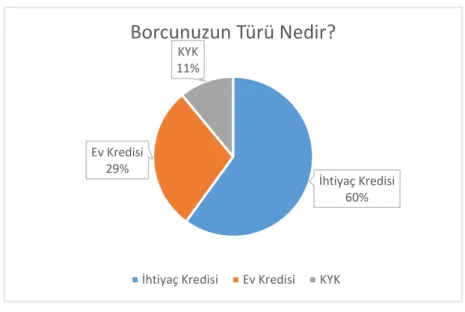 Şekil 1.6 Borç Miktarı 