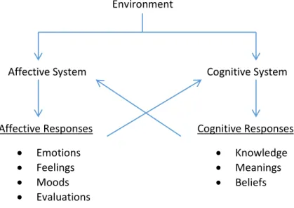 Figure 2.1   Relationship Between the Affective and Cognitive System (Peter &amp; Olson, 2010) 
