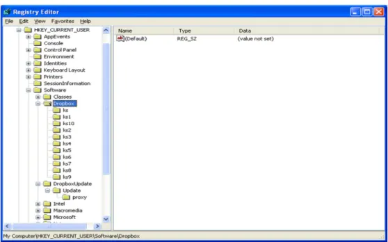 Şekil 24. MS Windows XP Dropbox Registry Değişikliği 