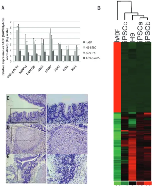Fig. 2. ASF1A, OCT4, and GDF9 (AO9) combination is sufficient for reprogramming hADF to pluripotency