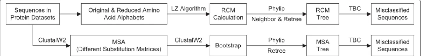Figure 1 Protocol Overview. For RCM, the original sequences and sequences recoded with reduced alphabets are used to calculate RCM-based distances which are then inputted sequentially to the Neighbor-Joining and Retree programs of the PHYLIP v3.68 package