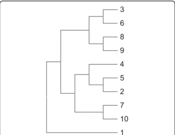 Figure 2 Tree topology of the simulated dataset. The identical topology of the three phylogenetic trees (i.e., RCM tree, bootstrap tree and true tree) for the simulated dataset is shown.