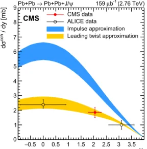 Fig. 2. Differential cross section versus rapidity for coherent J /ψ production in ultra- ultra-peripheral PbPb collisions at √ sN N = 2 