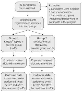 Fig. 1. Flow chart describing the progression of participants through the trial.