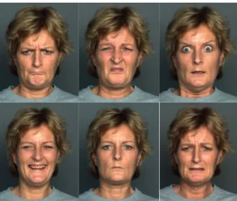 Figure 1. From left to right: (top row) angry, disgusted, and fearful faces; (bottom row) happy, neutral and sad