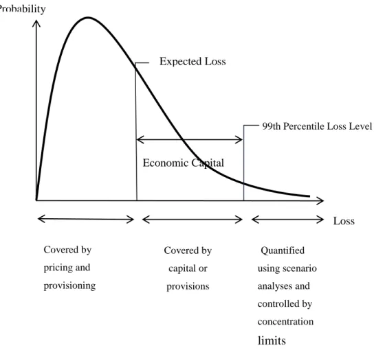 Figure 1.1 Credit Default Loss Distribution  