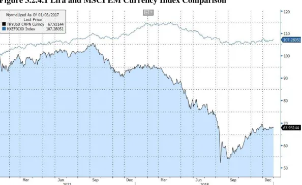 Figure 3.2.4.1 Lira and MSCI EM Currency Index Comparison 