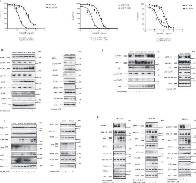 Fig. 1. Acquired resistance to neratinib is mediated by distinct molecular mechanisms in HER2+ breast cancer cells