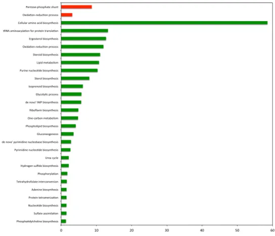 Figure 1.  GO biological process terms associated to differential fluxes, changed in response to doxorubicin 
