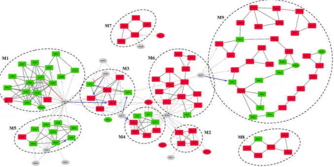 Figure 3.  Modular organization of differentially active regulatory network (DEGRN). Nine modules identified 