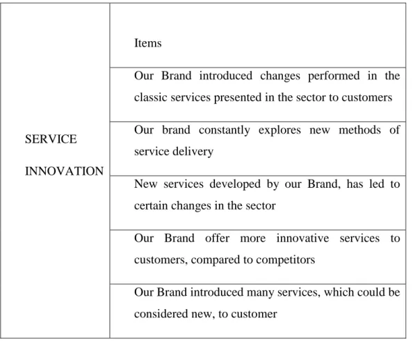 Table 1- Service innovation construct