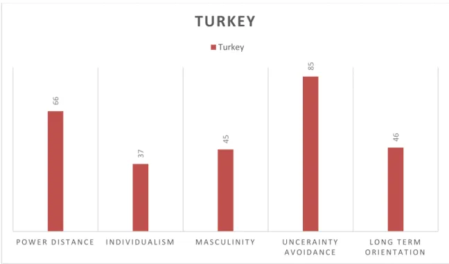 Figure 3-Turkey's cultural dimensions