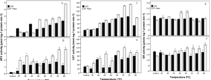 Figure 3. Effect of high temperature on antioxidant enzyme activities in leaves of strawberry cultivars