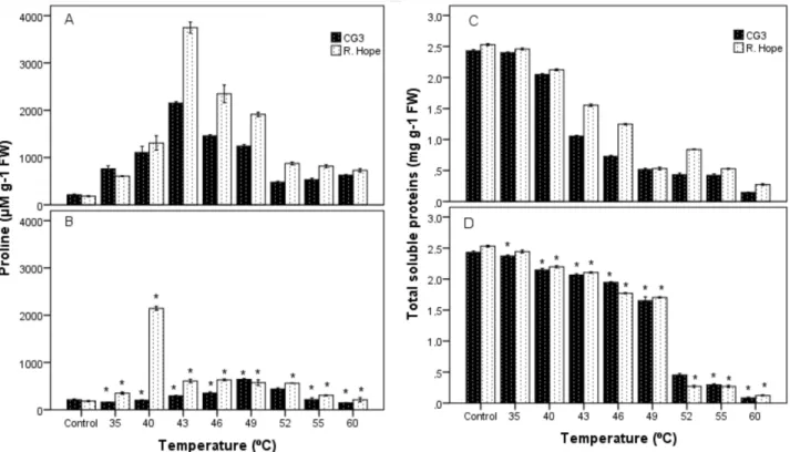 Figure 4. Effect of high temperature on proline and total soluble protein (TSP) contents in leaves of strawberry cultivars