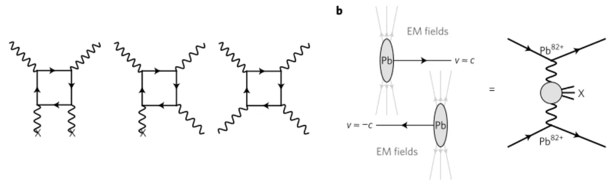 Figure 1 | Diagrams illustrating the QED LbyL interaction processes and the equivalent photon approximation