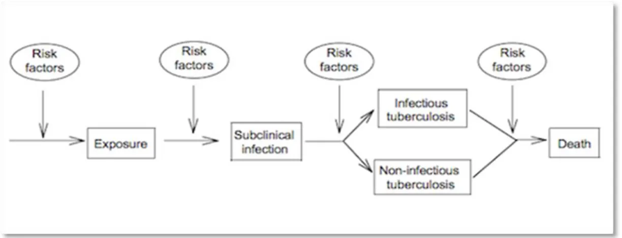 Figure 1: A model of tuberculosis epidemiology  