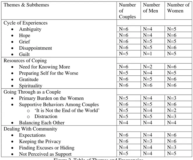 Figure 2. Table of Themes and Frequencies 
