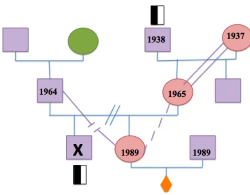 Figure 4: Genogram of Third Family 