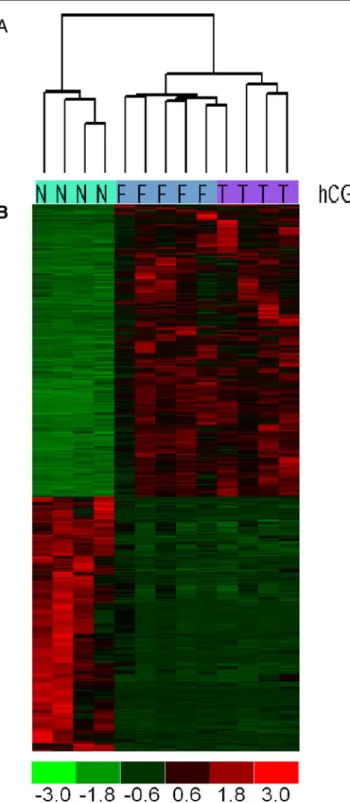 Fig. 1 Hierarchical cluster analysis of gene expression patterns using a centroid linkage algorithm with correlation distance measure