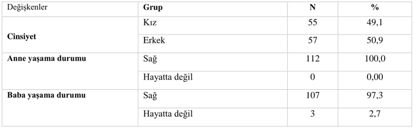 Tablo 2: Türkiye’de yaşayan çocukların ve ebeveynlerinin demografik özellikleri 