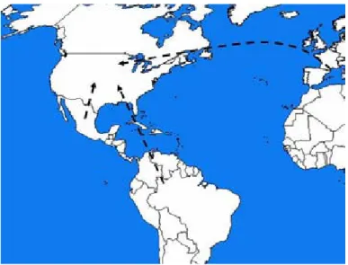 Şekil 2: Kuzey Amerika’ya kaçakçılığın temel rotaları 33