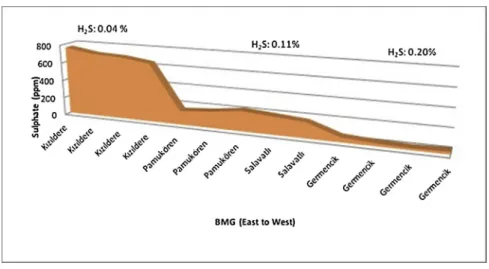 Fig. 11. Dissolve SO 4 2− and H 2 S (g) distribution along the BMG.