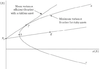 Figure 2.1.  The CAPM Model
