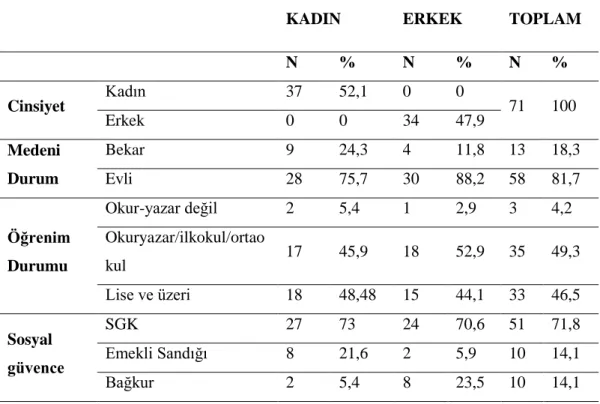Tablo 4.1. Demografik Bulgular 