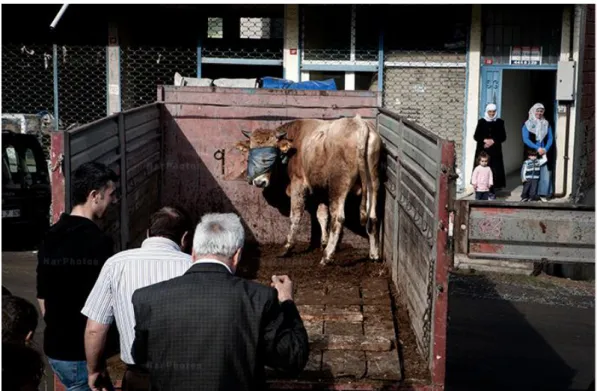 Şekil 3.4: Serra Akçan 2011 / Sultanbeyli 