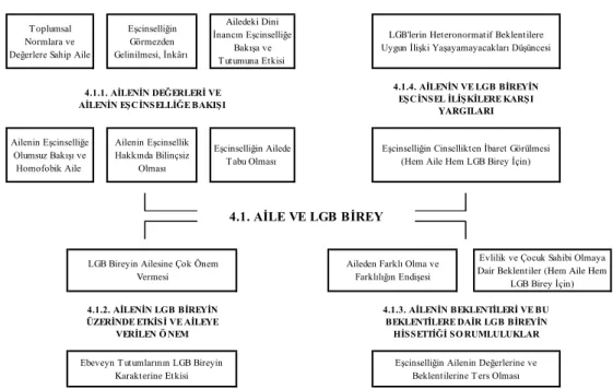 Şekil 1: Aile ve LGB Birey 