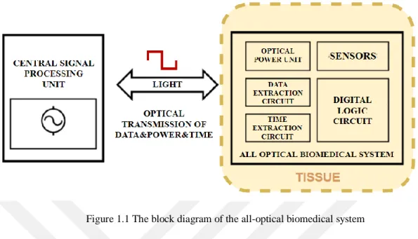 Figure 1.1 The block diagram of the all-optical biomedical system 