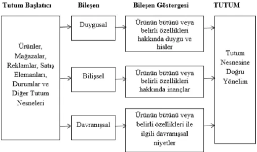 Şekil 3.4: Tutumu Oluşturan Bileşenler 
