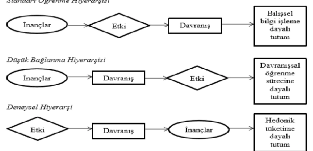 Şekil 3.5: Etkiler Hiyerarşisi 