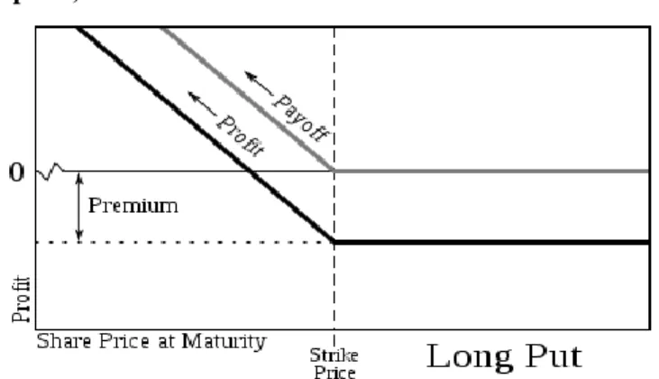 Figure  3:  The  profit  gained  from  the  purchase  of  a  put  option  (Long  position  in  put  option) 