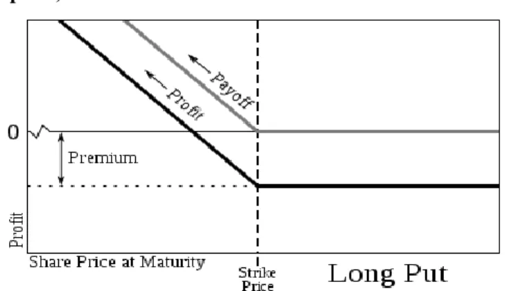 Figure  3:  The  profit  gained  from  the  purchase  of  a  put  option  (Long  position  in  put  option) 