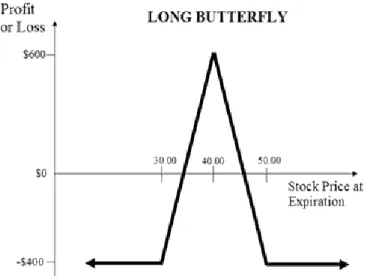 Figure 15: A long butterfly 