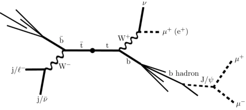 Figure 1. Pictorial view of the J/ψ meson produced in a tt system. The kinematic properties of the particles represented with dashed lines are used to infer m t .