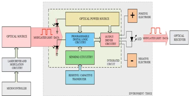 Figure 2.1. System schematic of the microsystem  