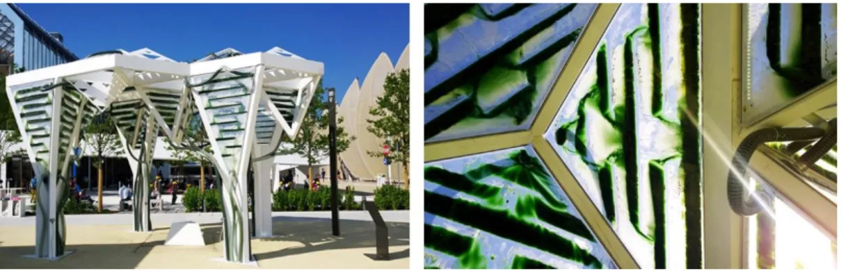 Şekil 3.3. The Urban Algae Folly pavyonu genel görünüş, ETFE cephe sistemi içerisinde  mikroalgler (URL-9) 