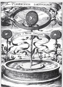 Şekil 2.2. Athanasius Kircher, Magnes, sive de arte Magnetica’dan “Ayçiçeği Saati”,  1641,  kaynak: The Museum of Jurassic Technology, http://www.mjt.org/exhibits/sunflower.html  Modern gündelik hayatın mekânsal örgütlenmesinde “önce iş dünyası, çalışma ya