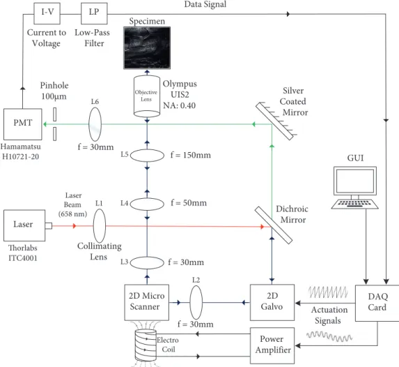 Figure 1. System diagram of the implemented laser-scanning confocal microscopy system