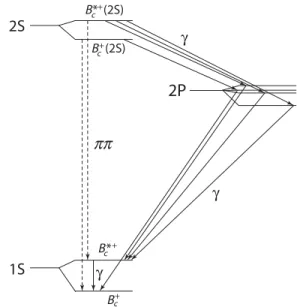 FIG. 1. Transitions between the lightest B c states, with solid and dashed lines indicating the emission of photons and pion pairs, respectively [2] .
