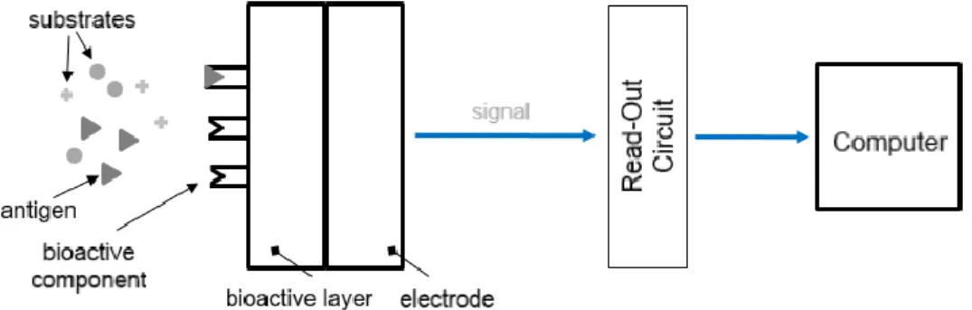 Figure 1.4. Structure and Operation Principle of Biosensors 