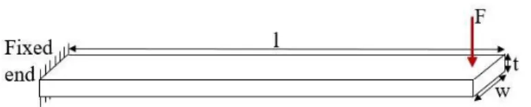 Figure 2.1 shows the various beam types, the most common ones in the MEMS fields. The  beams are (a) a fixed-free cantilever parallel to the surface of the substrate, (b) a fixed-fixed  beam parallel to the surface of the substrate, (c) two fixed end and g
