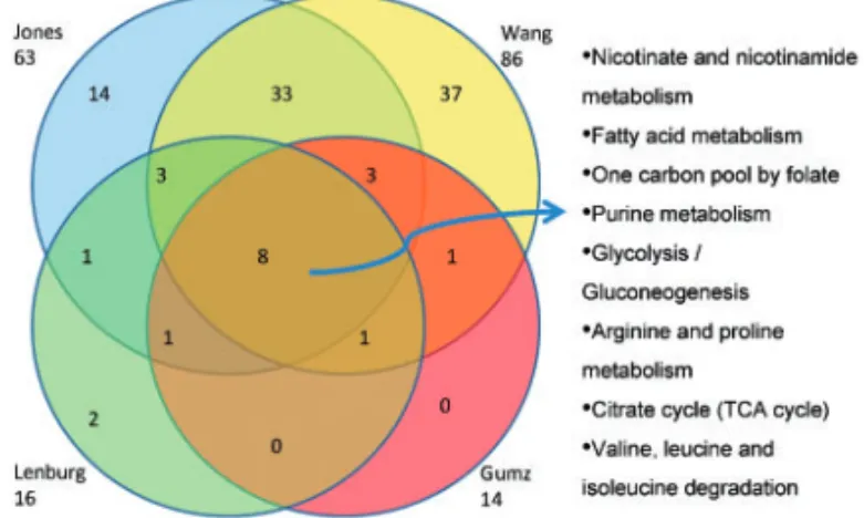 Fig. 3. Venn diagram depicting pathways shared by BPA analysis of Jones,