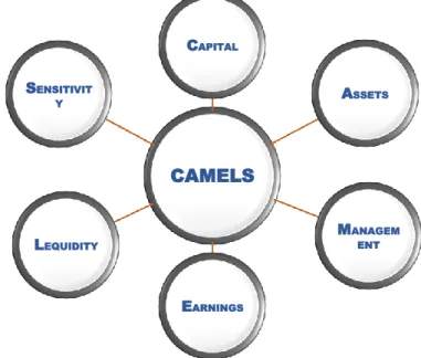 Figure 2. CAMELS Categories 