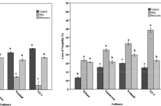 Fig. 3. Changes in cell membrane injury of strawberry cultivars  subjected to the drought by PEG application and recovered by  rewatering application