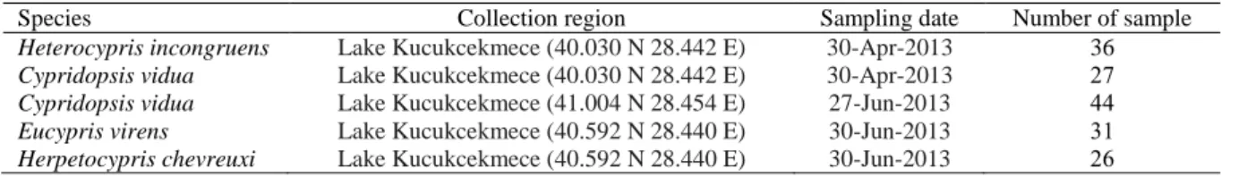 Table 1. The summary of collection date and area of four freshwater ostracoda species 