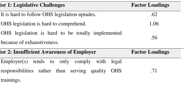 Table 3.4.: Items and Dimension Names of Challenges of occupational safety 