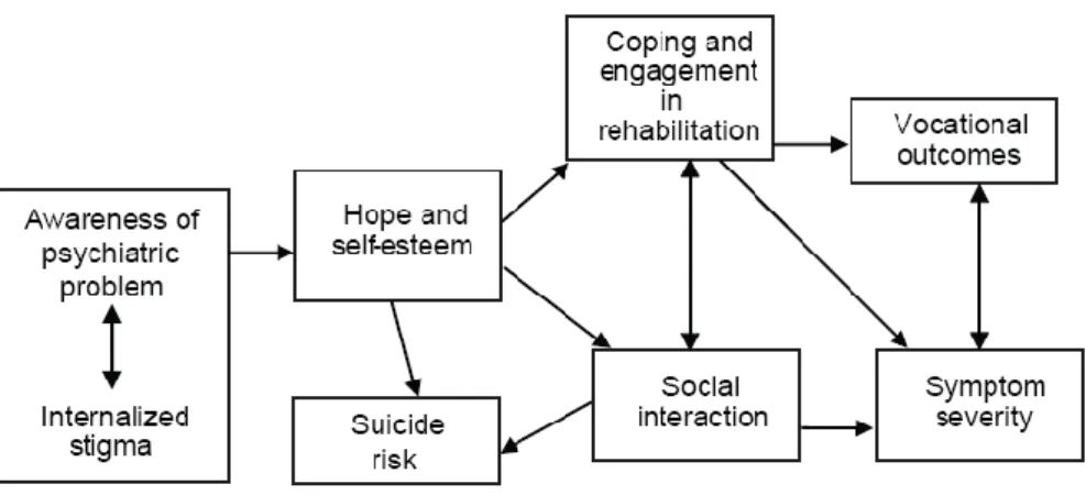 Figure 3: A model of internalized stigma on recovery-related outcomes for patients with SMI 